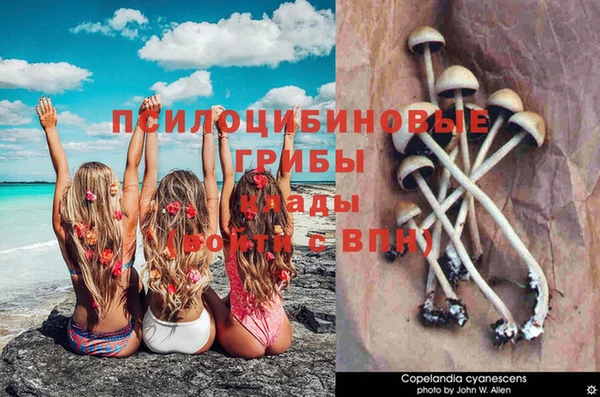 метадон Алексин