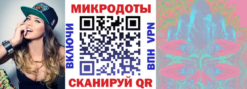 Галлюциногенные грибы Psilocybine cubensis  Феодосия 